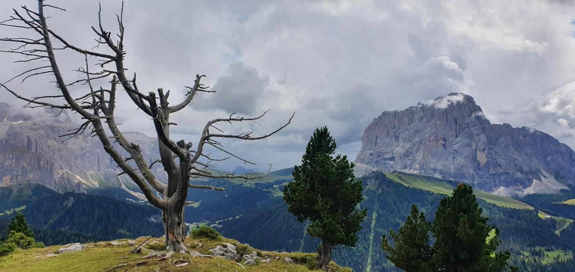 Garni Hotel Iris Selva di Val Gardena Extérieur photo