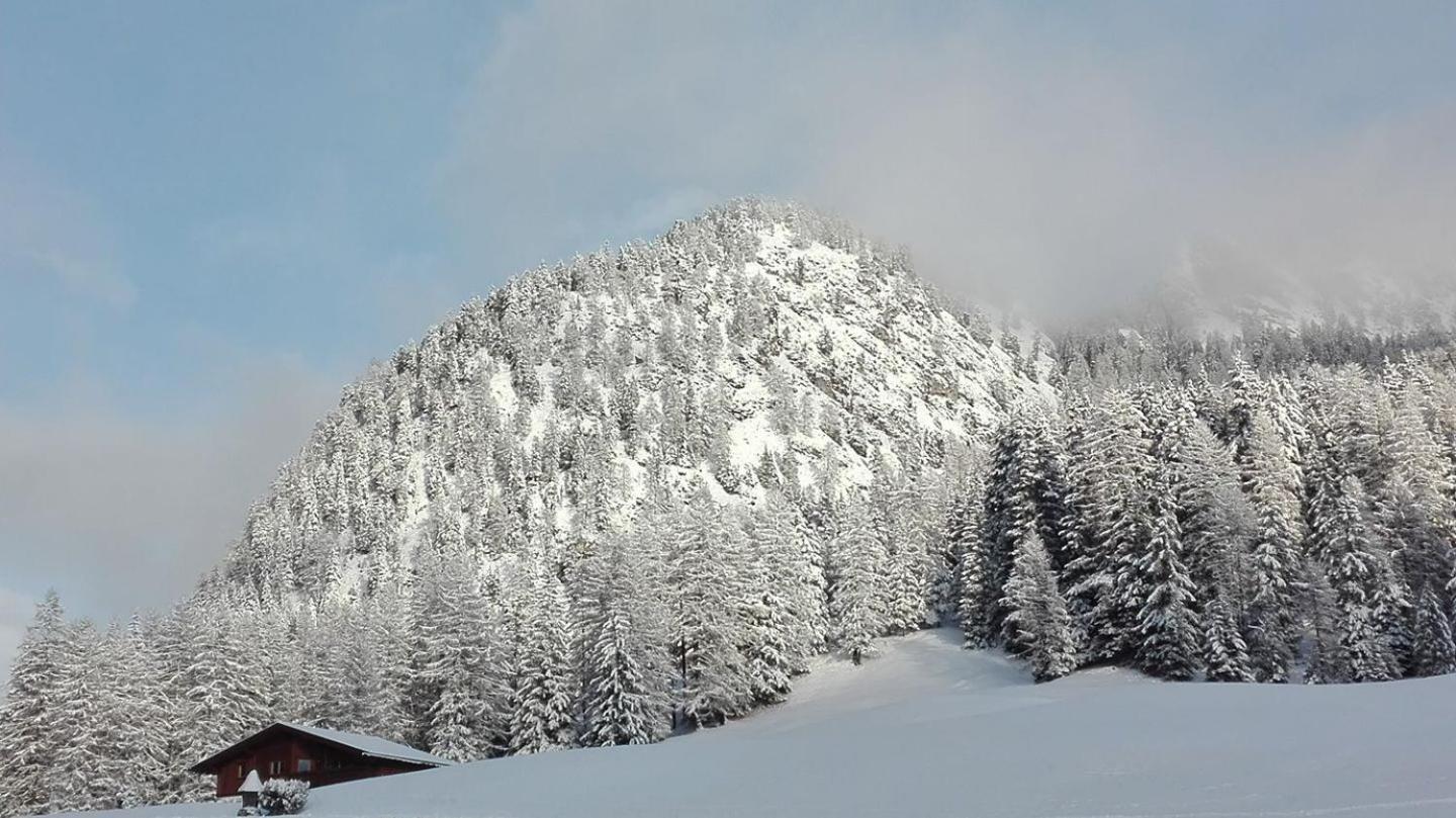 Garni Hotel Iris Selva di Val Gardena Extérieur photo