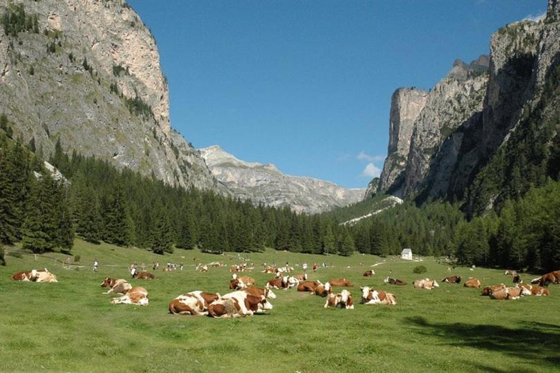 Garni Hotel Iris Selva di Val Gardena Extérieur photo